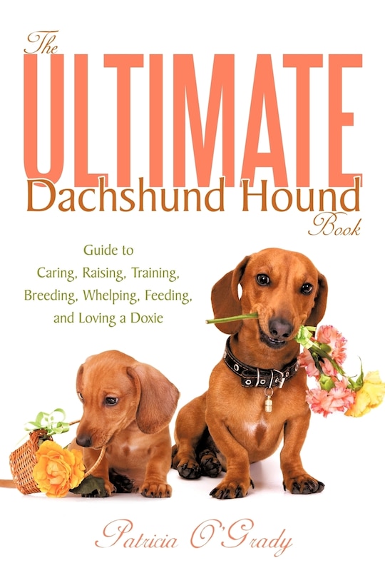 Front cover_The Ultimate Dachshund Hound Book