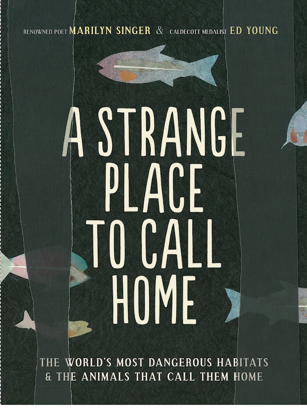 Couverture_A Strange Place to Call Home