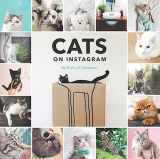 Couverture_Cats on Instagram