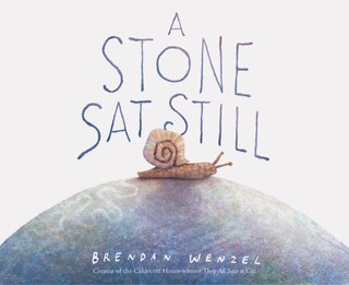 A Stone Sat Still: (Environmental and Nature Picture Book for Kids, Perspective Book for Preschool and Kindergarten, Award Winning Illustrator)