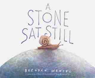 A Stone Sat Still: (Environmental and Nature Picture Book for Kids, Perspective Book for Preschool and Kindergarten, Award Winning Illustrator) by Brendan Wenzel