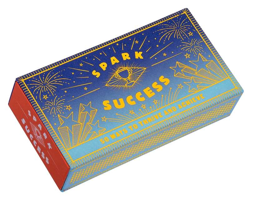 Couverture_Spark Success