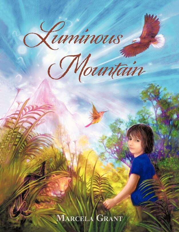 Front cover_Luminous Mountain