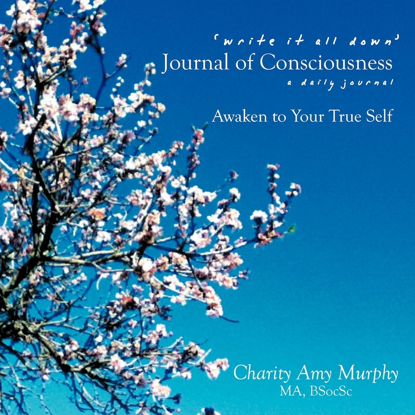 Couverture_'write It All Down' Journal Of Consciousness