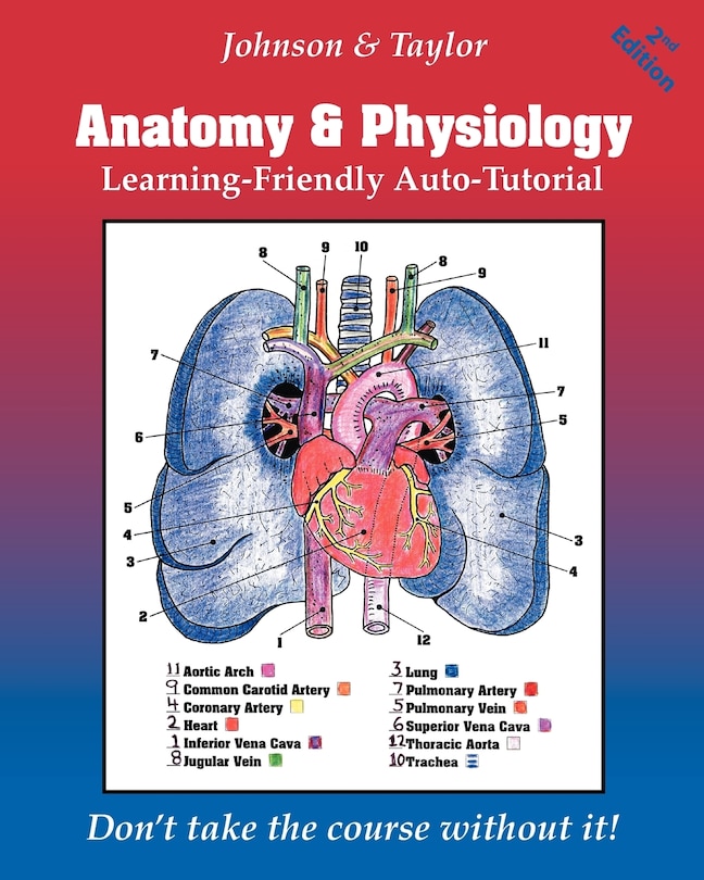 Front cover_Anatomy & Physiology Learning-Friendly Auto-Tutorial