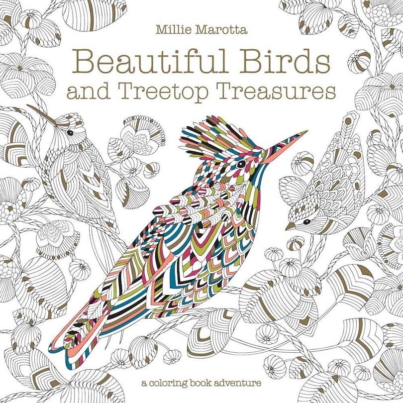 Front cover_Beautiful Birds And Treetop Treasures