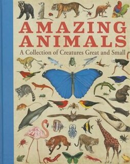 Amazing Animals: A Collection Of Creatures Great And Small