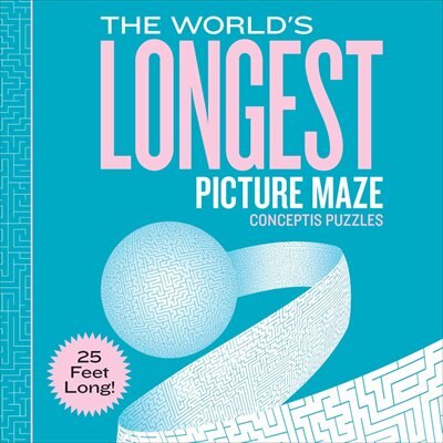 The World's Longest Picture Maze