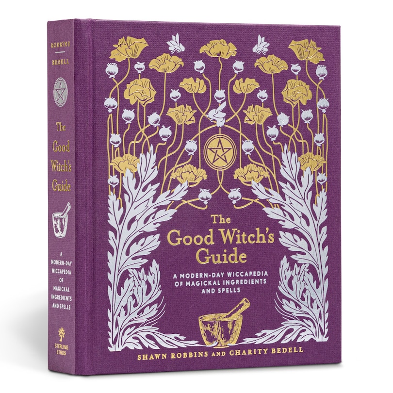 Couverture_The Good Witch's Guide