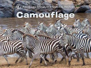 Front cover_Camouflage