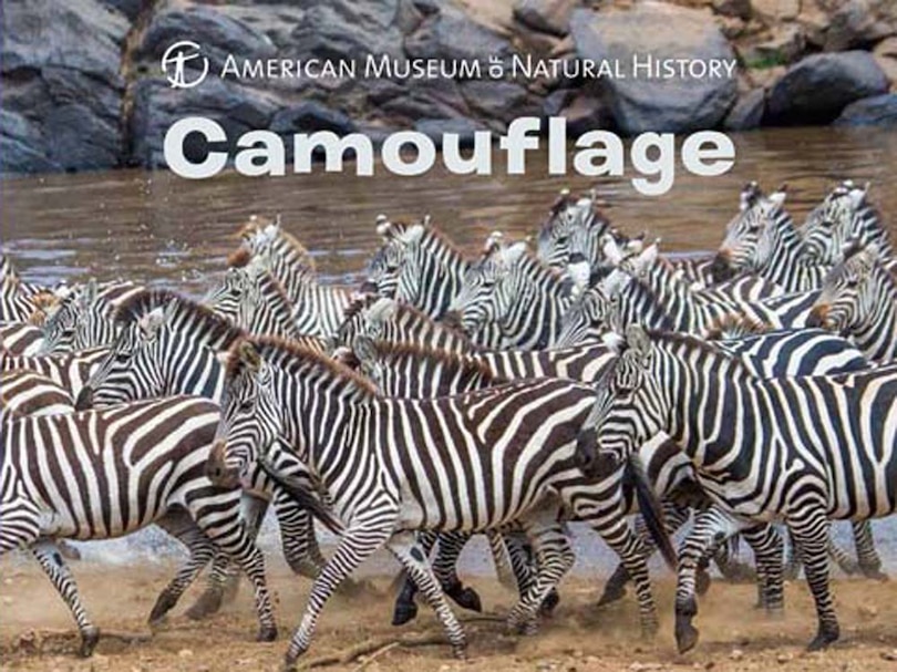 Front cover_Camouflage