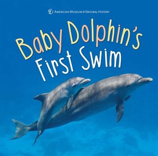 Front cover_Baby Dolphin's First Swim