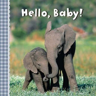 Front cover_Hello, Baby!