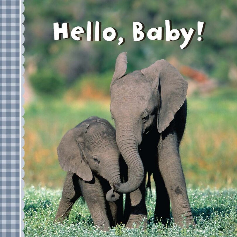 Front cover_Hello, Baby!