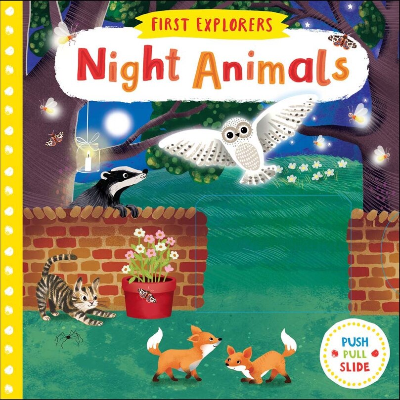 Front cover_Night Animals