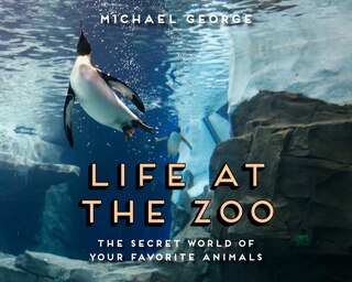 Life At The Zoo