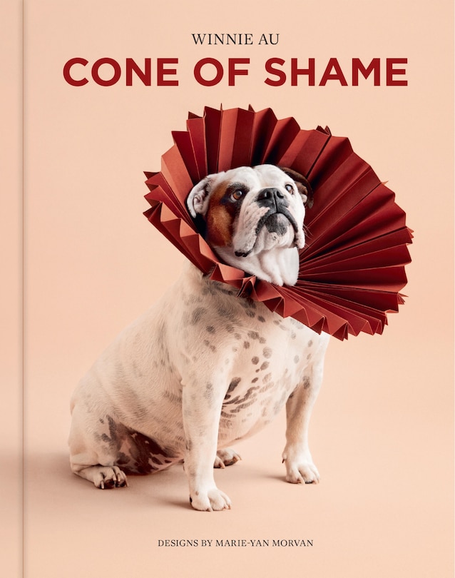 Front cover_Cone of Shame