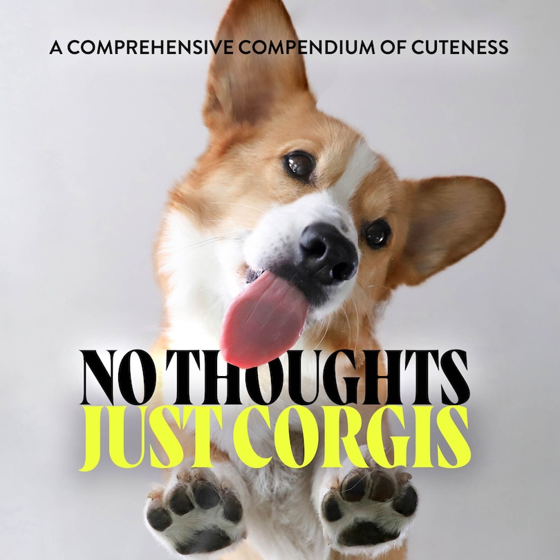Couverture_No Thoughts Just Corgis