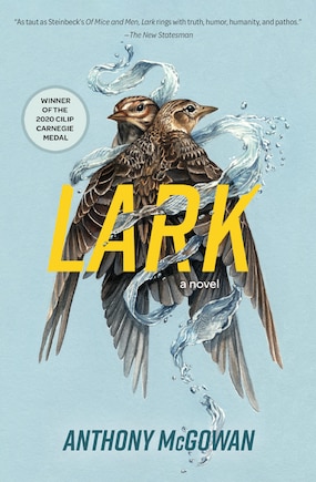 Lark: A Novel