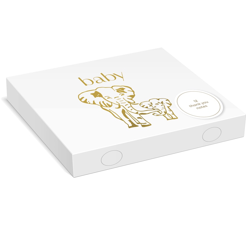 Front cover_Baby: Thank You Notes