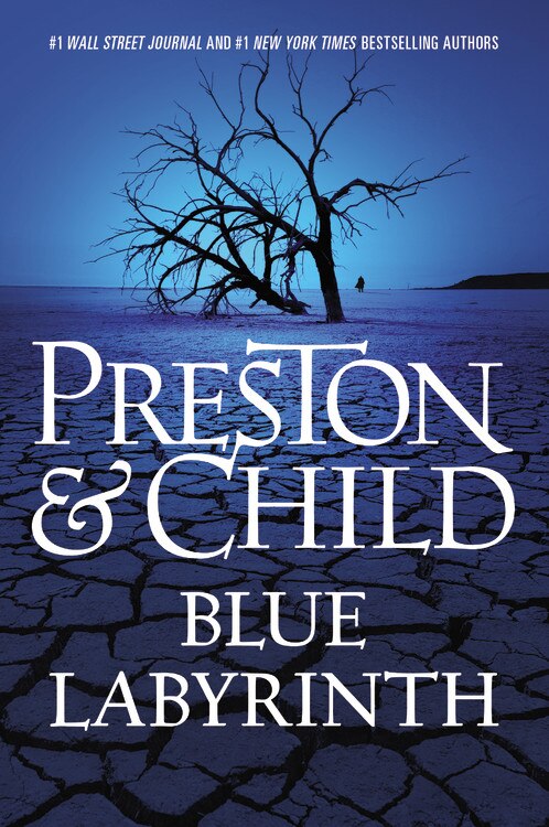 Couverture_Blue Labyrinth