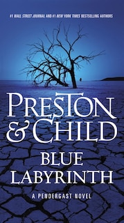 Couverture_Blue Labyrinth