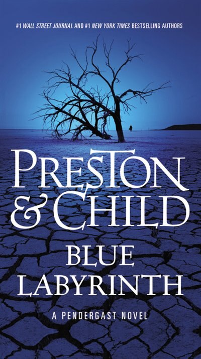 Couverture_Blue Labyrinth