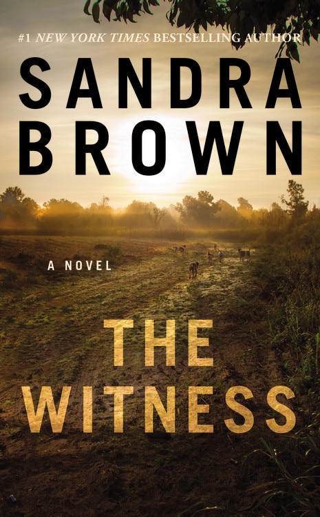 Couverture_The Witness