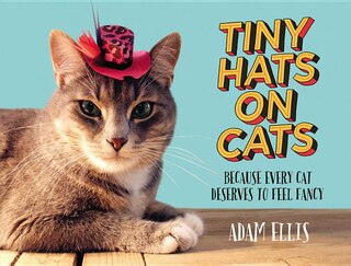 Couverture_Tiny Hats On Cats