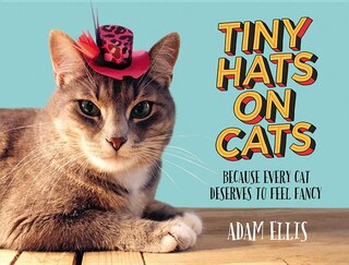 Tiny Hats On Cats: Because Every Cat Deserves To Feel Fancy