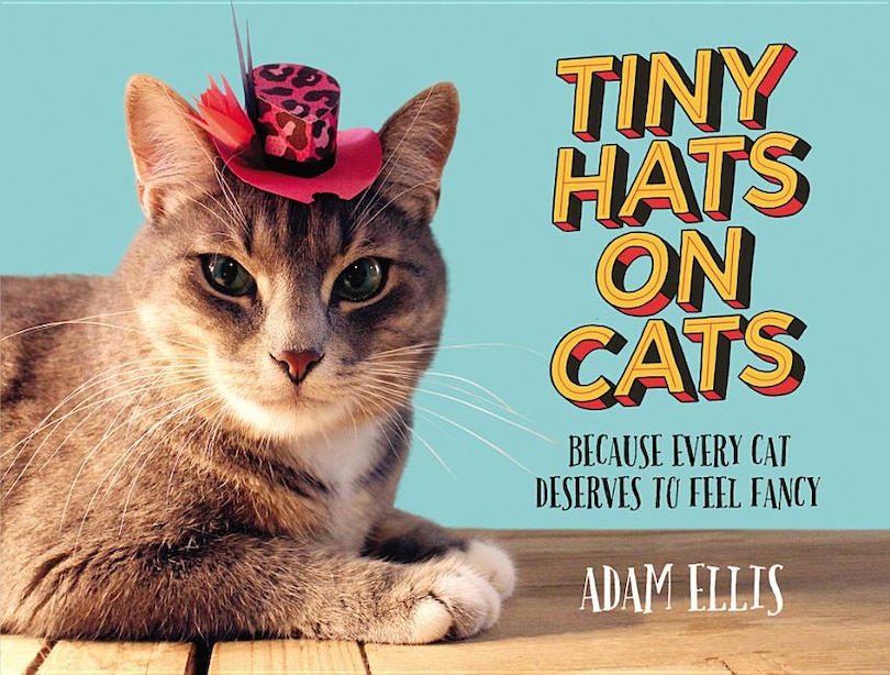 Tiny Hats On Cats: Because Every Cat Deserves To Feel Fancy