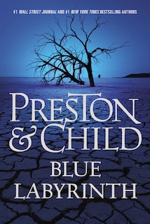 Couverture_Blue Labyrinth