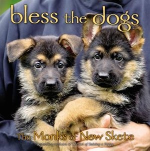 Couverture_Bless The Dogs