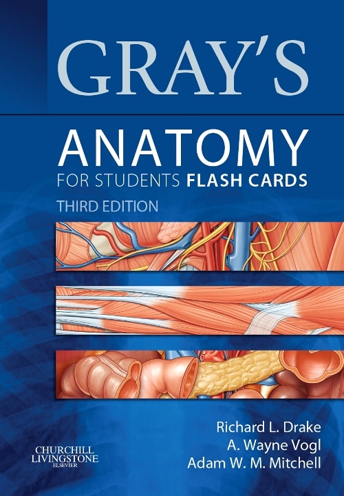 Couverture_Gray's Anatomy For Students Flash Cards