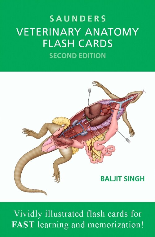 Front cover_Veterinary Anatomy Flash Cards