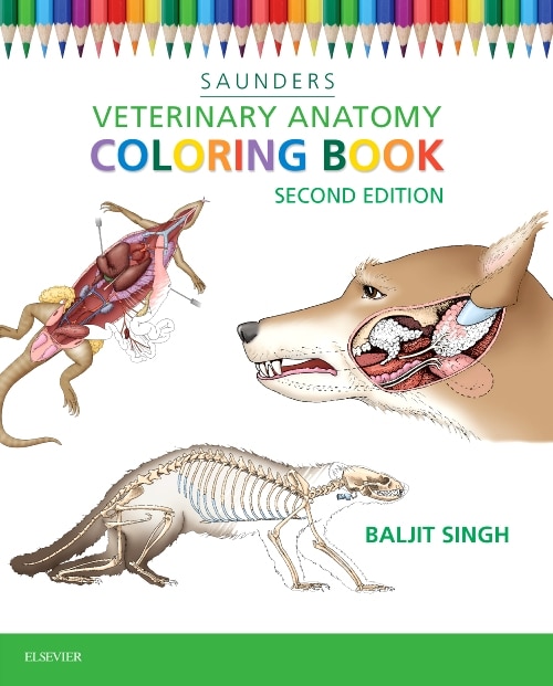 Front cover_Veterinary Anatomy Coloring Book