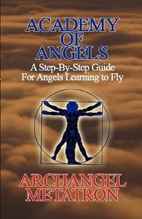 Academy of Angels: A Step-By-Step Guide for Angels Learning to Fly