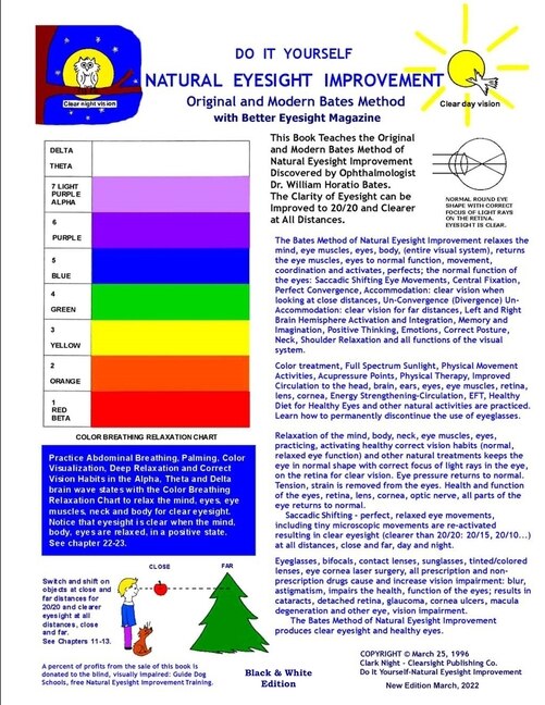 Front cover_Do It Yourself - Natural Eyesight Improvement - Original and Modern Bates Method