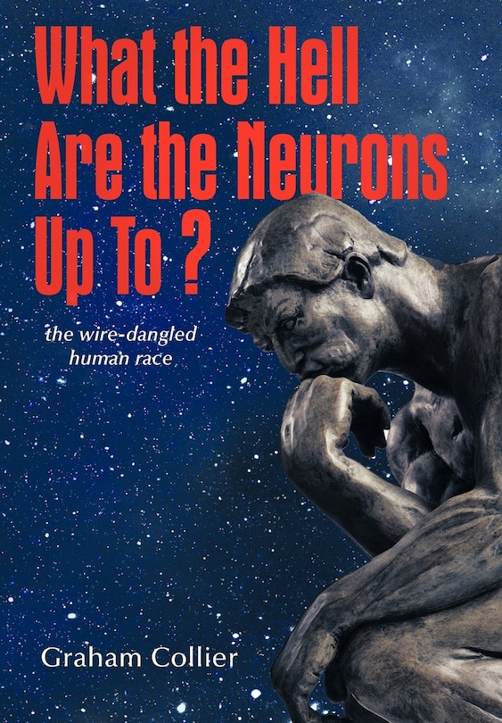 Front cover_What The Hell Are The Neurons Up To?
