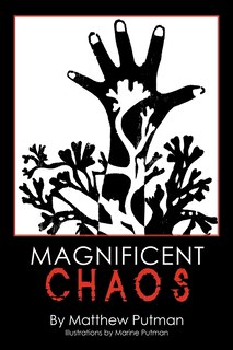 Front cover_Magnificent Chaos