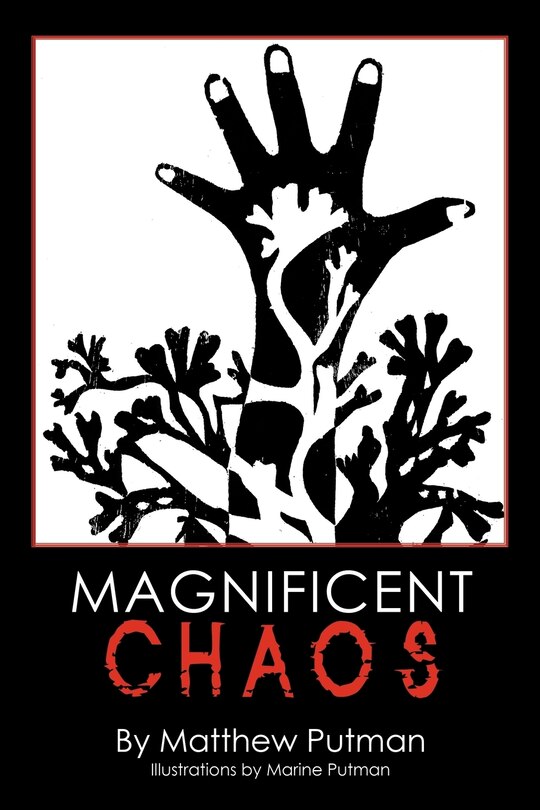 Front cover_Magnificent Chaos