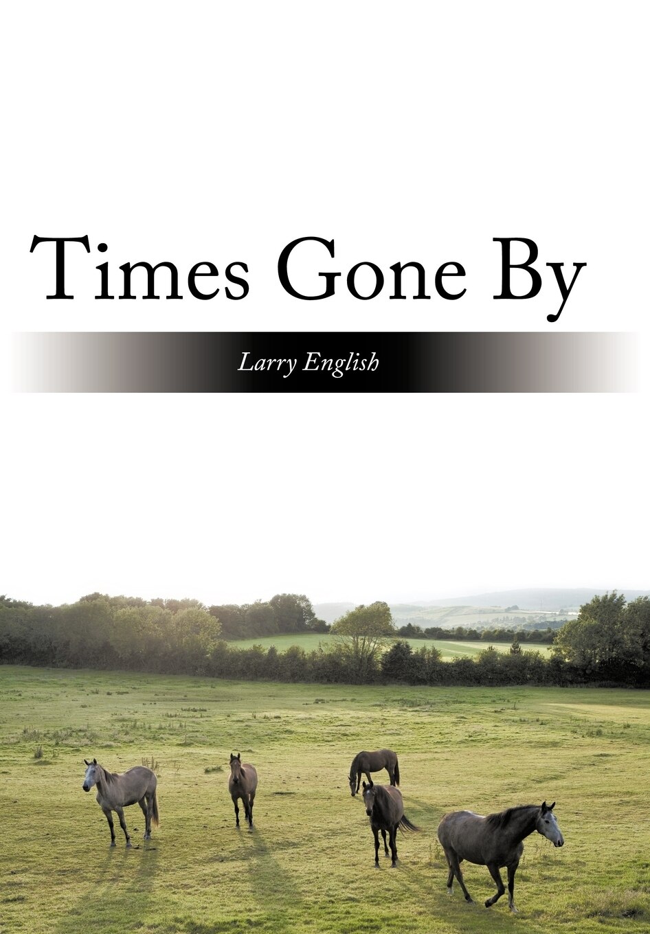 洋書 TIMES GONE BY Times Gone By Book By Larry English, ('tc