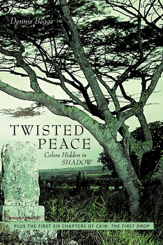 Couverture_Twisted Peace Colors Hidden In Shadow