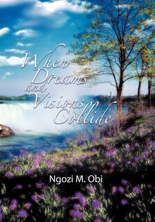 Front cover_When Dreams And Visions Collide