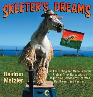 Couverture_Skeeter's Dreams
