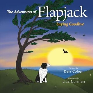 Front cover_The Adventures of Flapjack