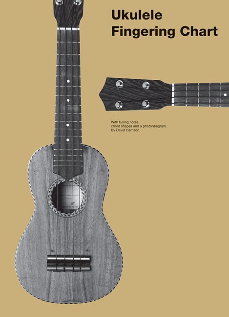 Front cover_Fingerstyle Ukulele