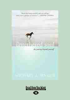 The Untethered Soul: The Journey Beyond Yourself by Michael A Singer