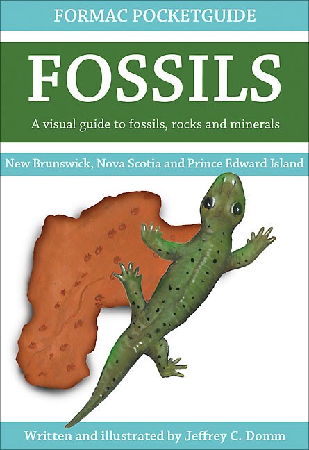 Couverture_Formac Pocketguide to Fossils