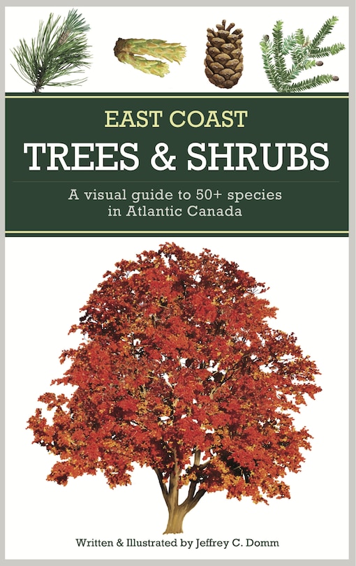 East Coast Trees And Shrubs: A Visual Guide To 50+ Species In Atlantic Canada